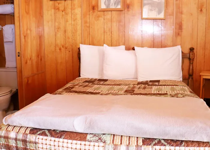Stampede 3 Bed and breakfast